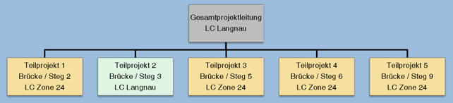 Projektorganisation